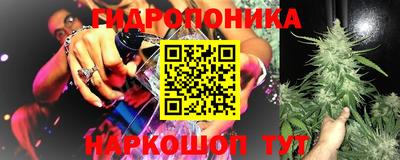 прущие грибы Ликино-Дулёво